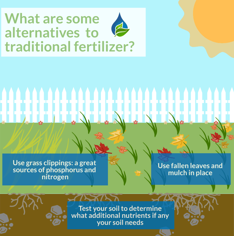 Fertilizer Alternatives