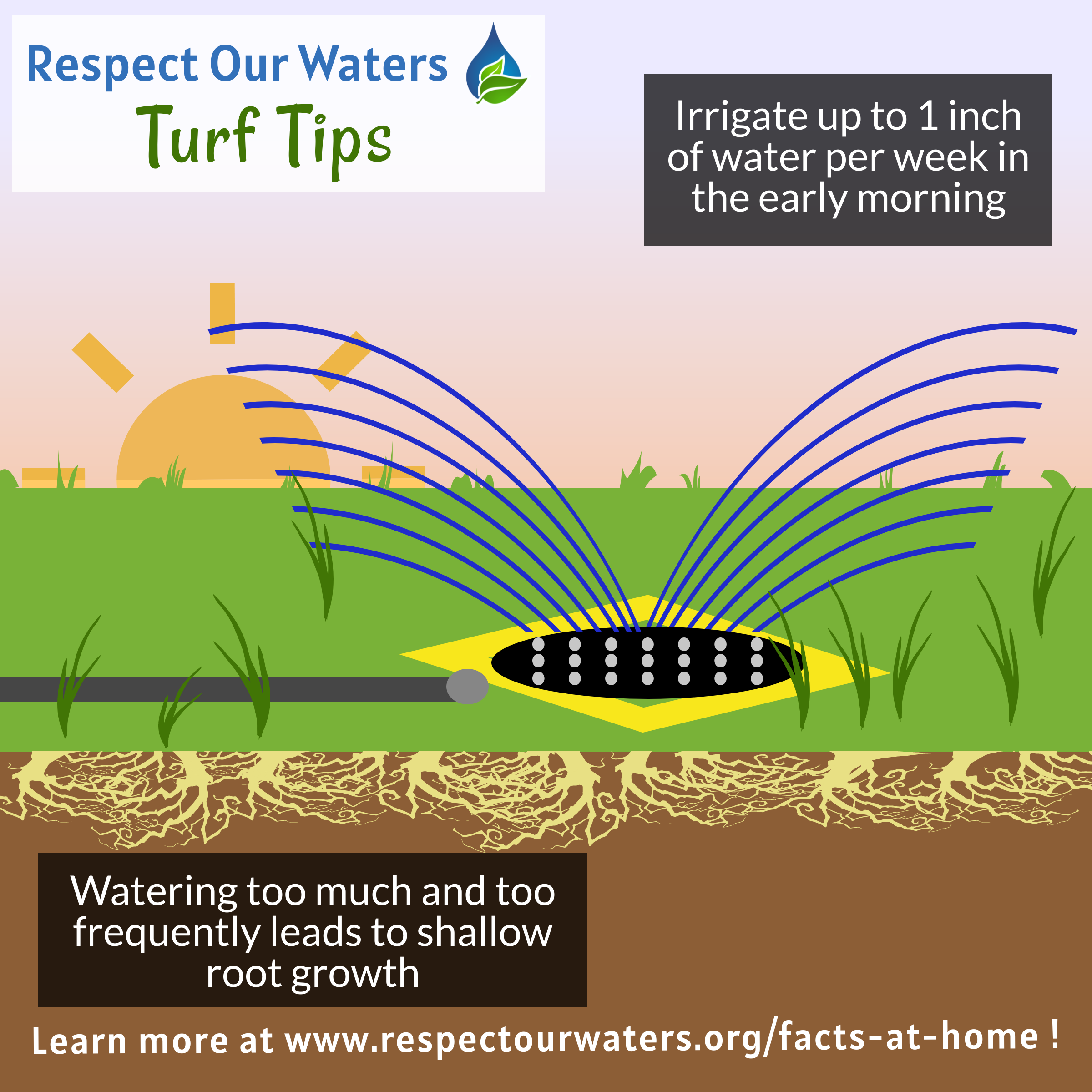 TurfTip_Watering